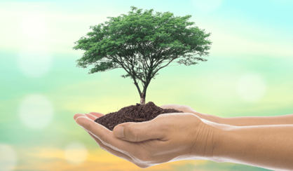 Blog_4_Tipps_Growth_Mindset