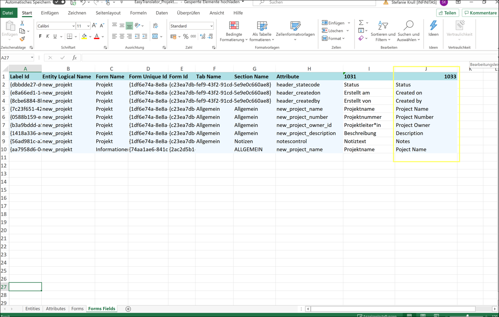 Übersetzung benutzerdefinierter Anpassungen in Microsoft Dynamics 365: Zwei unterschiedliche Wege, die zum Erfolg führen.