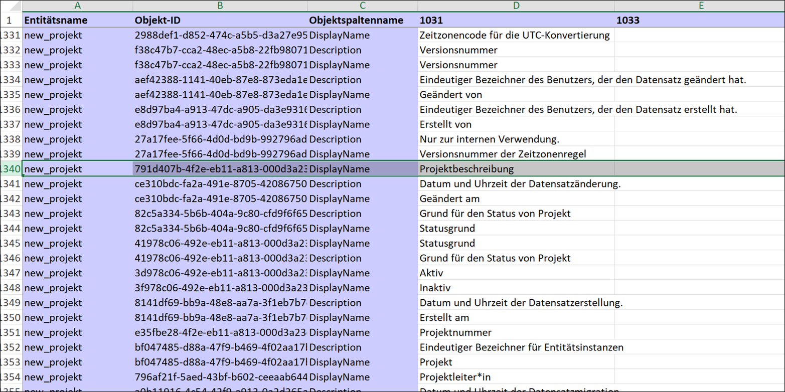 Übersetzung benutzerdefinierter Anpassungen in Microsoft Dynamics 365: Zwei unterschiedliche Wege, die zum Erfolg führen.