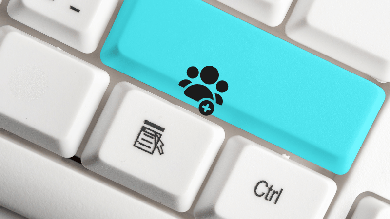 Wie Sie Benutzer in Microsoft Azure anlegen und löschen