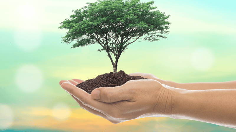 4 Tipps für Dein Growth Mindset und Deinen persönlichen Erfolg
