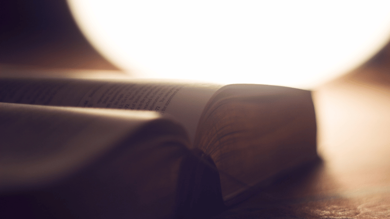 Unternehmensführung spielerisch: Open-Book Management