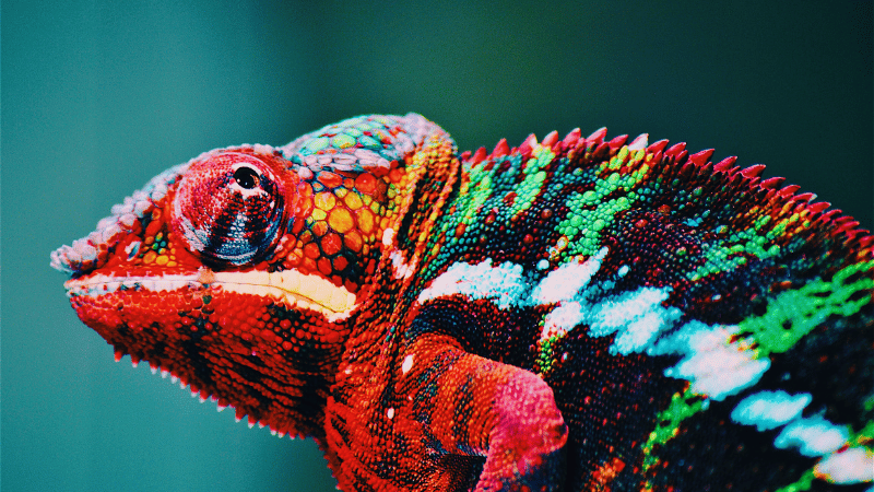 Erfolgsfaktor Mensch: Change Management bei der CRM-Implementierung