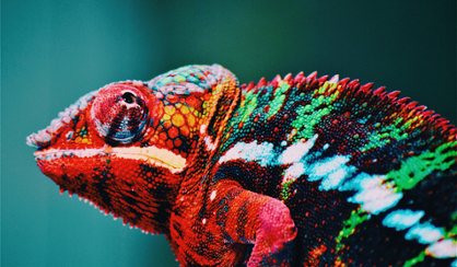 Blog_CRM_Changemanagement-small
