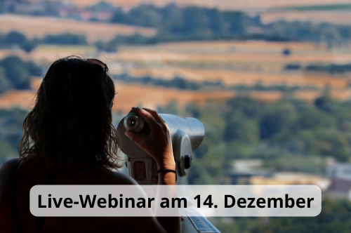 Webinar Vom Rätselraten zum Marketing LP Icon