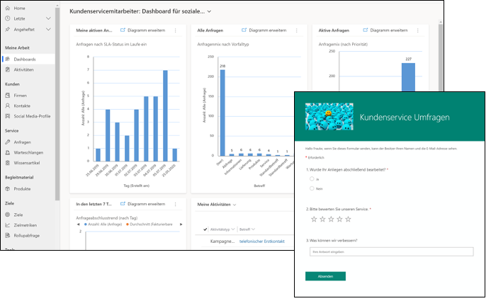 Microsoft_Dynamics_365_Customer_Service_Demo_System_Digital_Intelligence