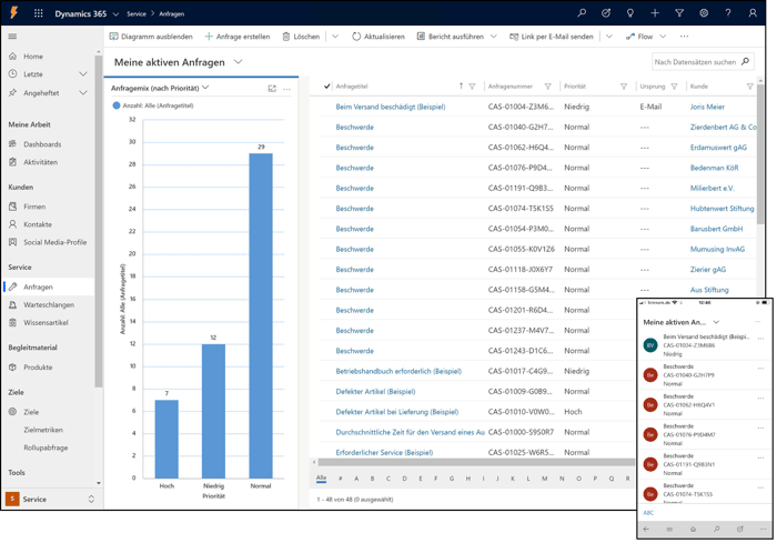 Microsoft_Dynamics_365_Customer_Service_Demo_System_Service_Anfragen