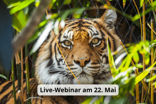 Zoo-Webinare_22.Mai