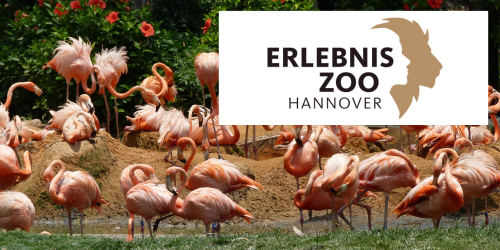 Referenz: Erlebnis-Zoo Hannover