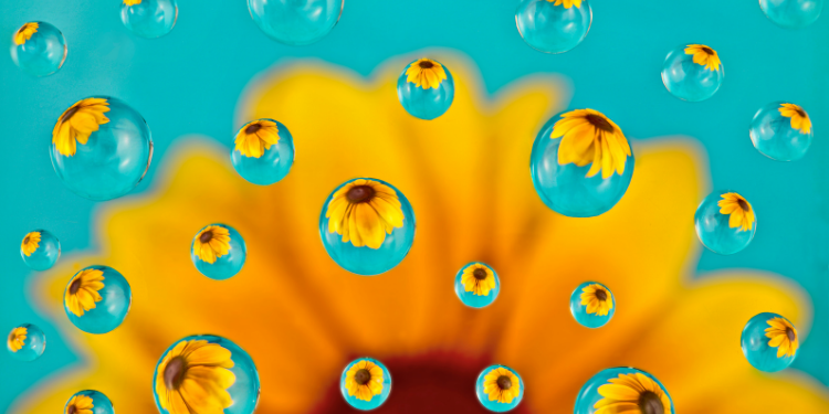 Microsoft_Dynamics_365_Duplikate_erkennen_zusammenführen